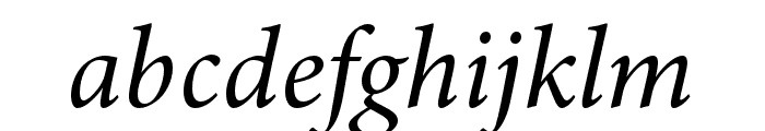 Minion 3 Subhead Medium Italic Font LOWERCASE