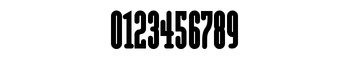 Modula Round OT Serif Ultra Font OTHER CHARS