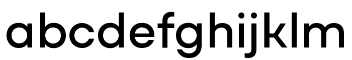 Mozaic GEO Variable Regular Font LOWERCASE