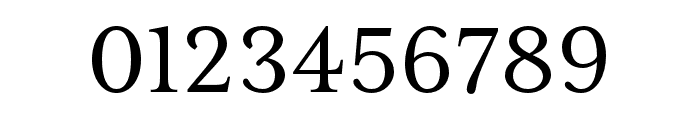 Mrs Eaves XL Serif Nar OT Reg Font OTHER CHARS