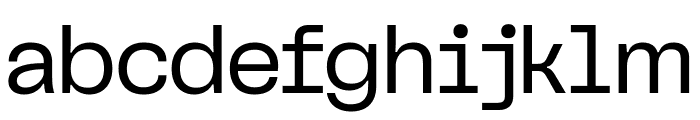 Nagel VF Regular Font LOWERCASE