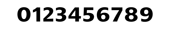 Narkiss Hadash Bold Font OTHER CHARS