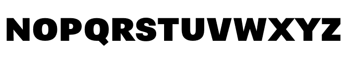 Narkiss Tam Condensed Black Font UPPERCASE