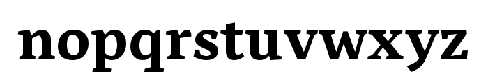 Nassim Arabic Pro Bold Font LOWERCASE