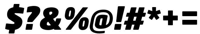 Neo Sans W1G Black Italic Font OTHER CHARS