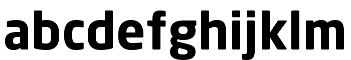 Neo Sans W1G Bold Font LOWERCASE