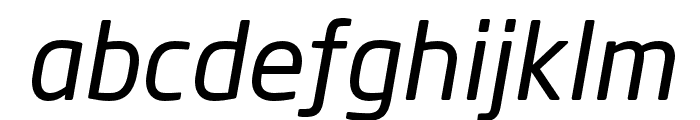 Neo Sans W1G Italic Font LOWERCASE