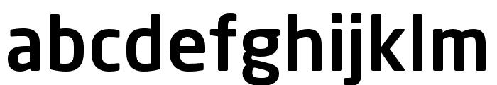 Neo Sans W1G Medium Font LOWERCASE