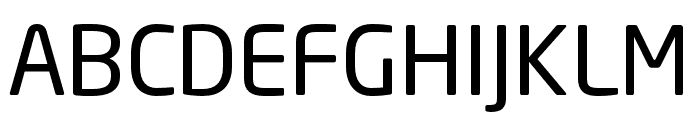 Neo Sans W1G Regular Font UPPERCASE