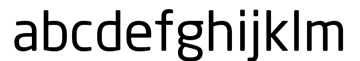 Neo Sans W1G Regular Font LOWERCASE