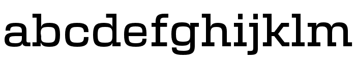 New Science Serif Medium Font LOWERCASE