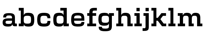 New Science Serif Semibold Font LOWERCASE