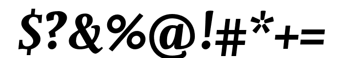 Nexus Serif Pro Bold Italic Font OTHER CHARS