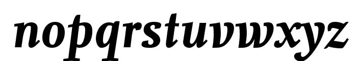 Nexus Serif Pro Bold Italic Font LOWERCASE