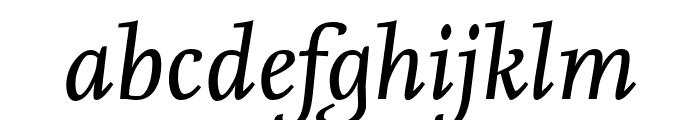 Nexus Serif Pro Italic Font LOWERCASE