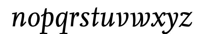Nexus Serif Pro Italic Font LOWERCASE