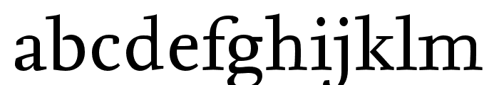 Nexus Serif Pro Regular Font LOWERCASE