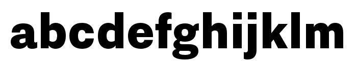 Nitti Grotesk Black Font LOWERCASE