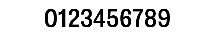 Nitti Grotesk Condensed Light Font OTHER CHARS