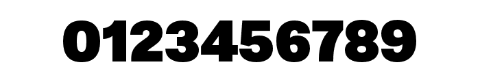 Nitti Grotesk ExtraBlack Font OTHER CHARS