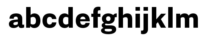 Nitti Grotesk ExtraBold Font LOWERCASE