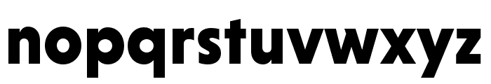 Niveau Grotesk Black Font LOWERCASE