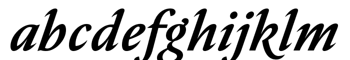Nocturne Serif Medium Italic Font LOWERCASE