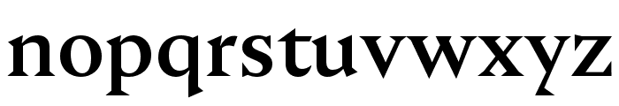 Nocturne Serif Medium Font LOWERCASE