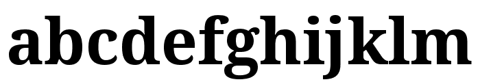 Noto Serif Armenian Bold Font LOWERCASE