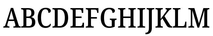 Noto Serif Georgian Condensed Medium Font UPPERCASE