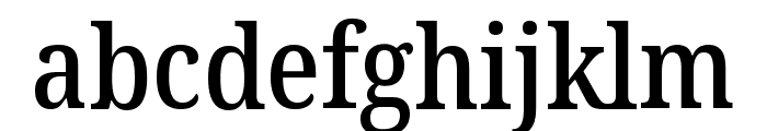 Noto Serif Georgian Condensed Medium Font LOWERCASE