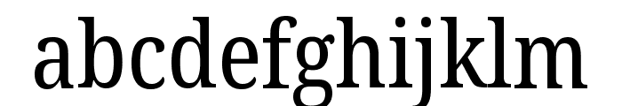 Noto Serif Georgian Condensed Regular Font LOWERCASE