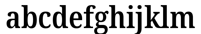 Noto Serif Georgian Condensed SemiBold Font LOWERCASE