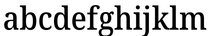 Noto Serif Georgian SemiCondensed Medium Font LOWERCASE