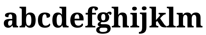 Noto Serif Gurmukhi Bold Font LOWERCASE