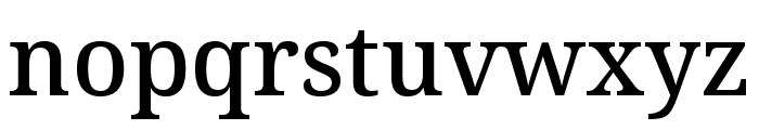 Noto Serif Gurmukhi Medium Font LOWERCASE