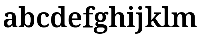 Noto Serif Gurmukhi Semibold Font LOWERCASE