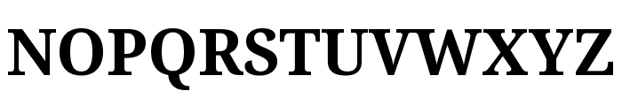 Noto Serif Kannada Bold Font UPPERCASE