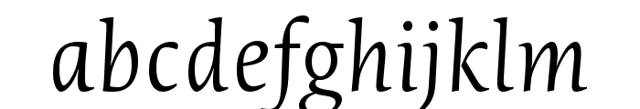 Novel Pro XLight It Font LOWERCASE