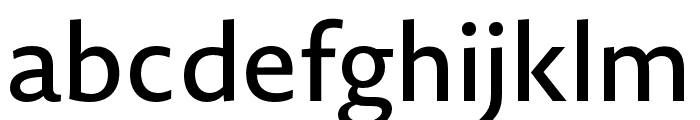 Novel Sans Pro Medium Font LOWERCASE