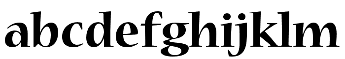 Nueva Std Bold Condensed Font LOWERCASE