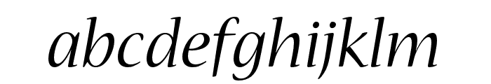 Nueva Std Extended Italic Font LOWERCASE