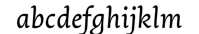 Oculi Text Regular Italic Font LOWERCASE