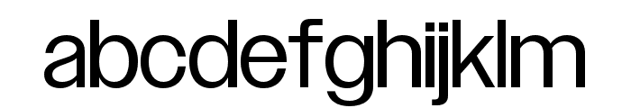 Owners Regular Font LOWERCASE