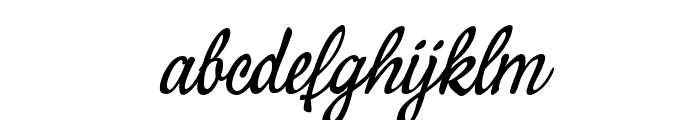 PF SignSkript Regular Font LOWERCASE