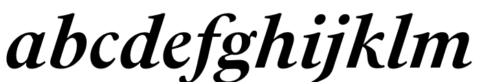 PSFournier Std Bold Italic Font LOWERCASE