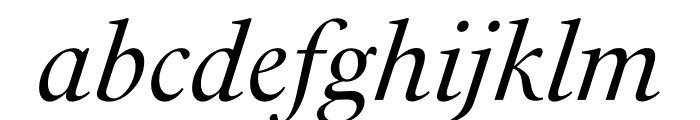 PSFournier Std Grand Italic Font LOWERCASE