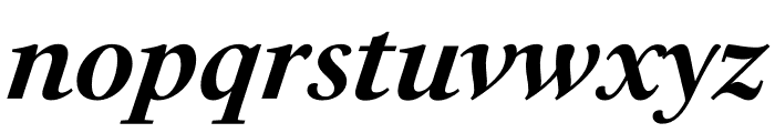 PSFournier Std Petit Bold Italic Font LOWERCASE