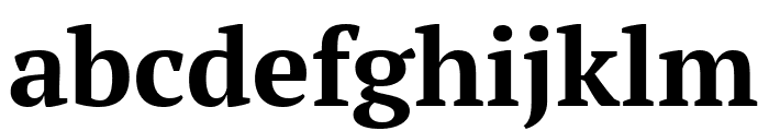 PT Serif Bold Font LOWERCASE