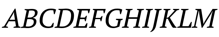 PT Serif Caption Italic Font UPPERCASE